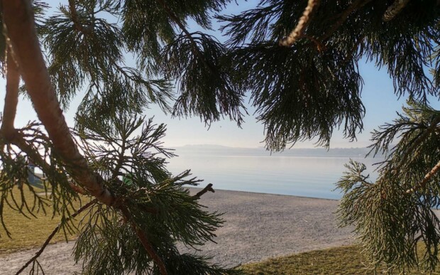 murten